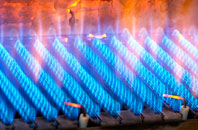 Sellan gas fired boilers